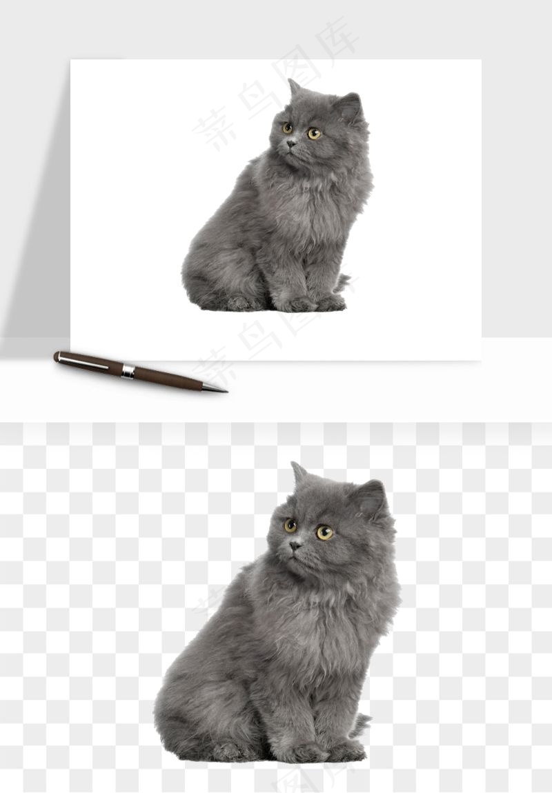 猫咪喵星人狗狗宠物元素png免抠