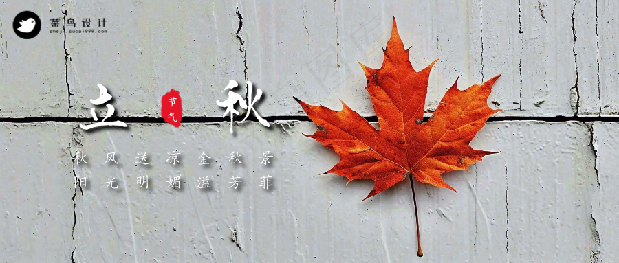 立秋公众号首图