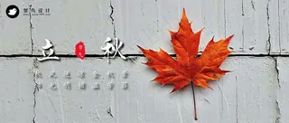立秋公众号首图