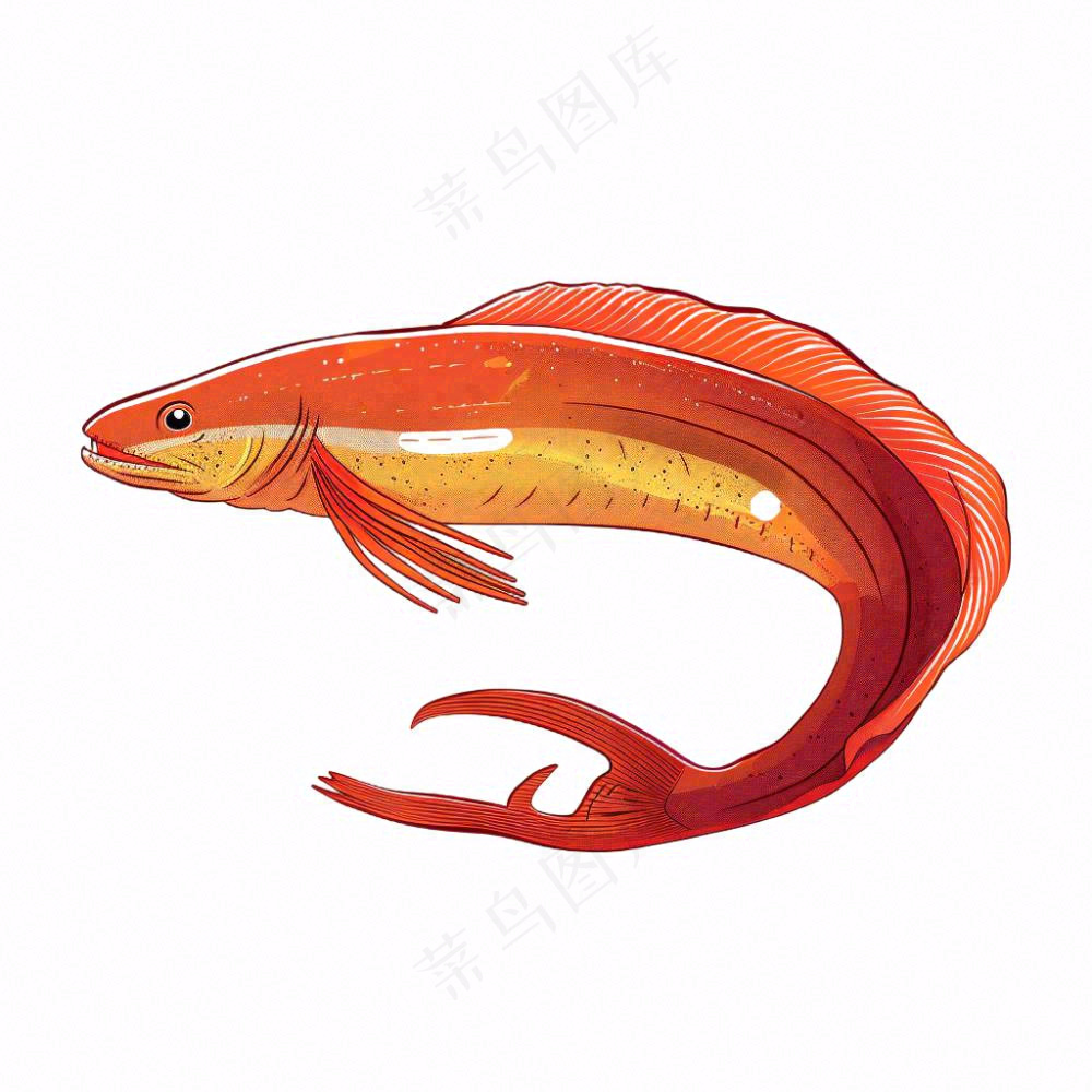 海洋鱼类海鲜卡通插画免抠