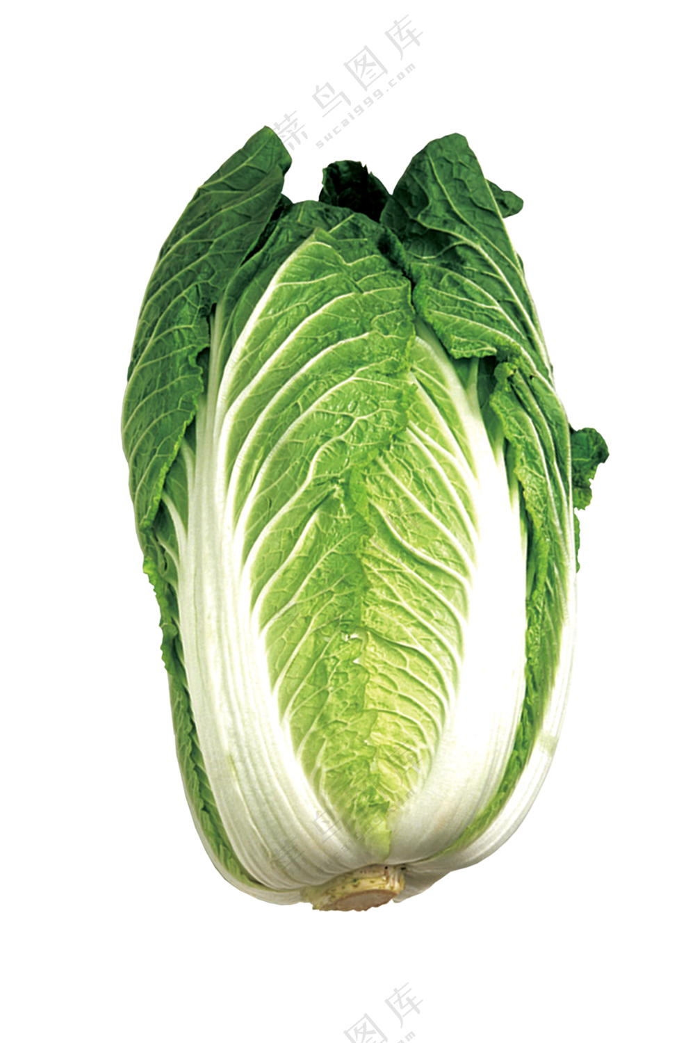 大白菜食材免抠图