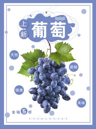 葡萄海报