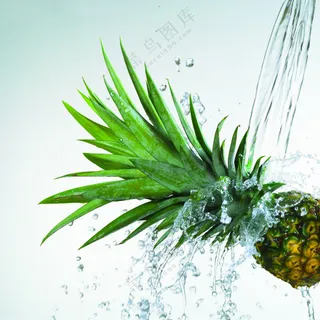 动感水中水果 (1)