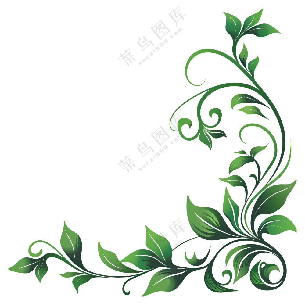 绿叶插图元素