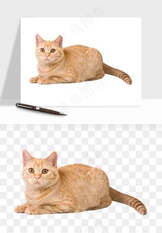 猫咪喵星人狗狗宠物元素png免抠