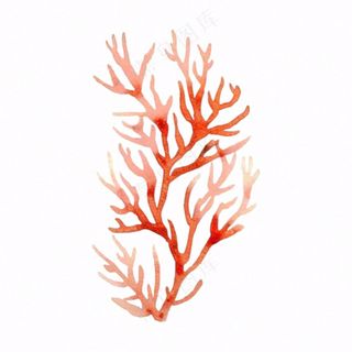 海洋海藻珊瑚植物卡通插画免抠