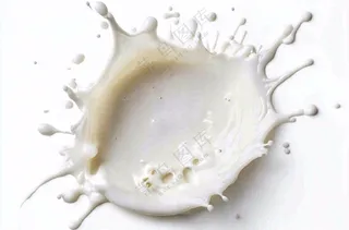 白色的牛奶飞溅摄影图