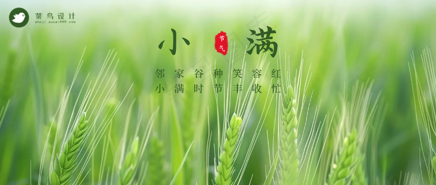 小满公众号首图