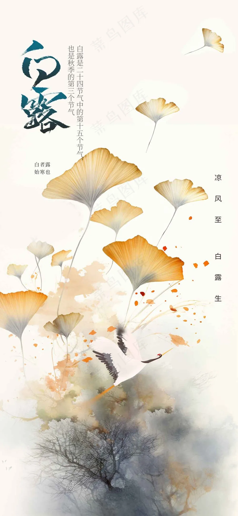 白露节气传统活动宣传海报