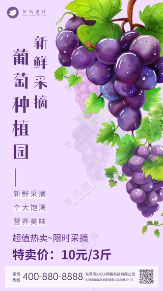葡萄采摘园新鲜水果特卖促销海报
