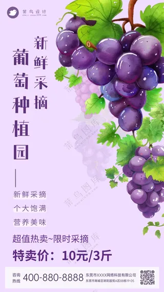 葡萄采摘园新鲜水果特卖促销海报
