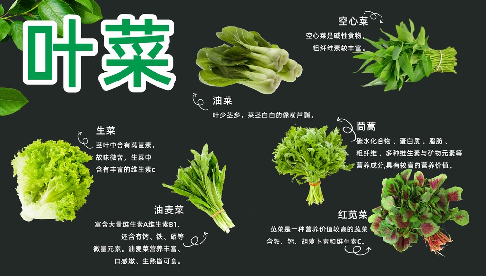 叶菜吊牌设计图片