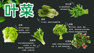 叶菜吊牌设计图片