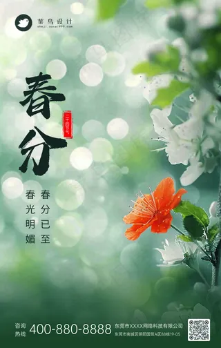 春分手机海报