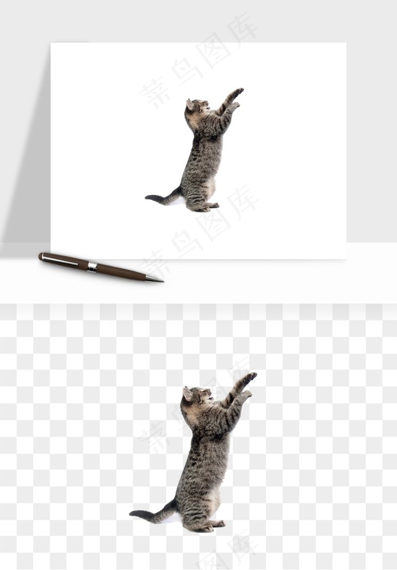 猫咪喵星人狗狗宠物元素png免抠