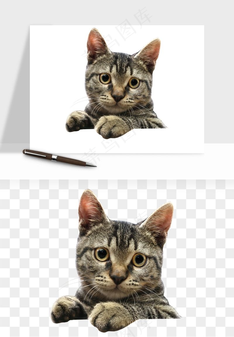 猫咪喵星人狗狗宠物元素png免抠