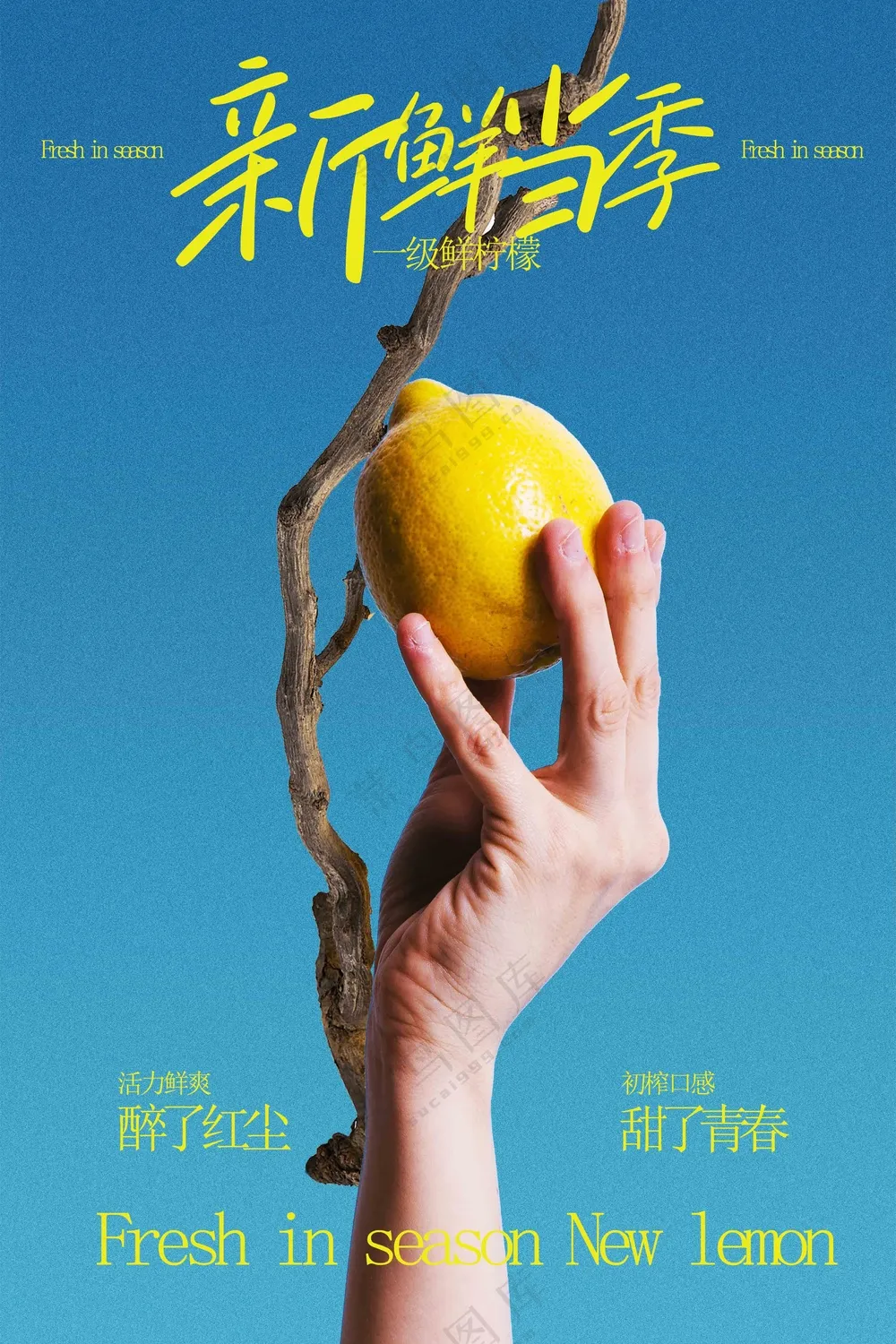 新鲜柠檬水果促销宣传海报