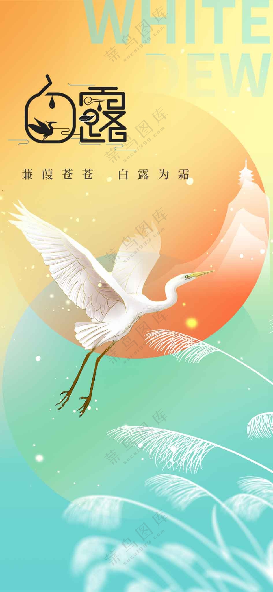白露节气传统活动宣传海报
