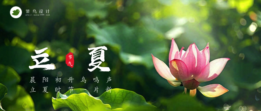 立夏公众号首图