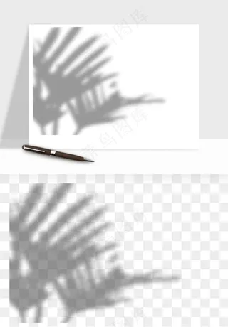 阴影植物窗户投影免抠元素