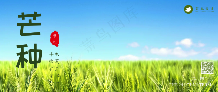 芒种公众号首图