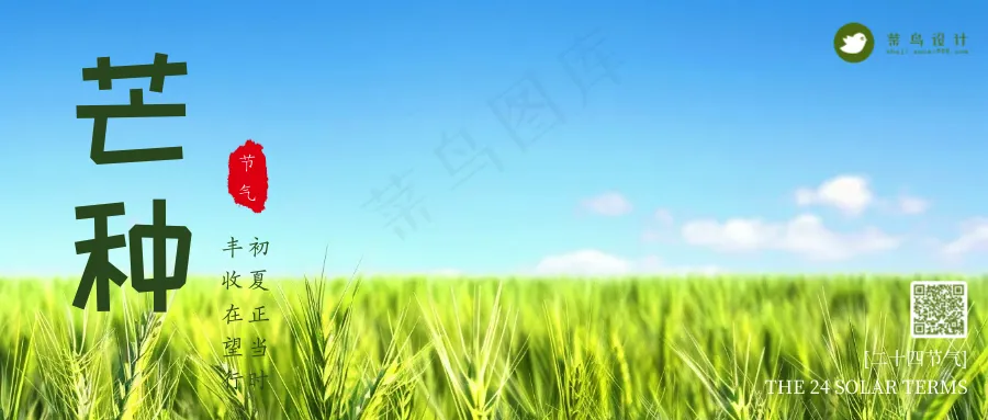 芒种公众号首图