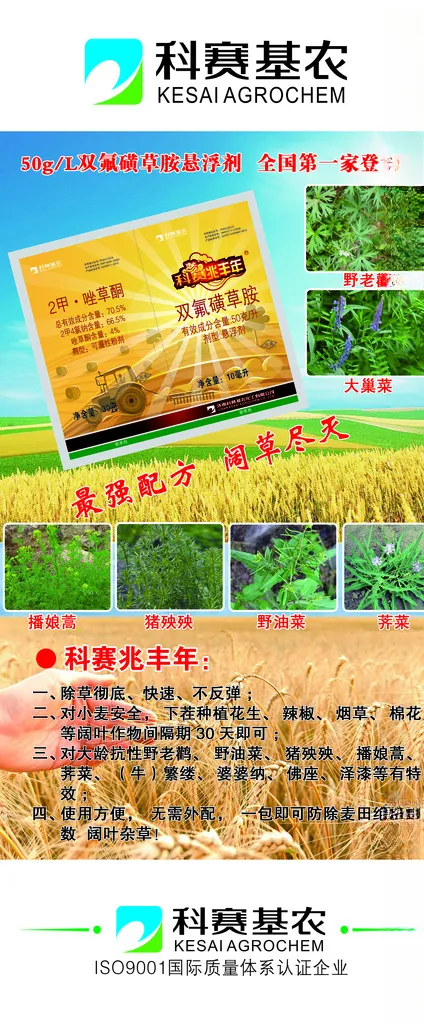 科赛基农水稻种植展架绿色设计