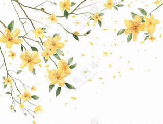 春天树枝上的黄花水墨风插画免抠