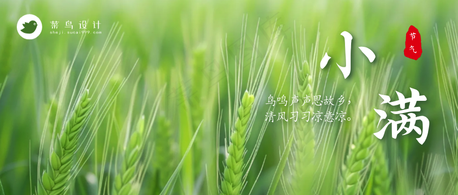 小满公众号首图