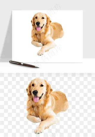 猫咪喵星人狗狗宠物元素png免抠