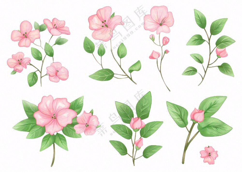 春天粉色花朵插画 免抠