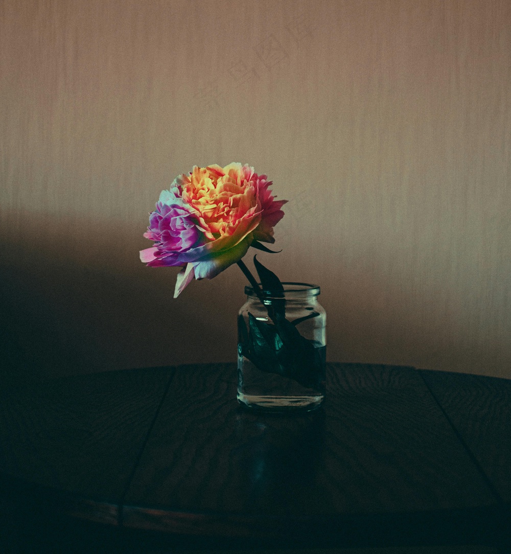 免费 彩虹色的花在玻璃罐子里的照片 素材图片