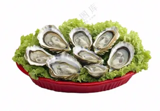 时蔬生蚝海鲜摄影图免抠