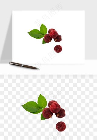 杨梅采摘水果png免抠