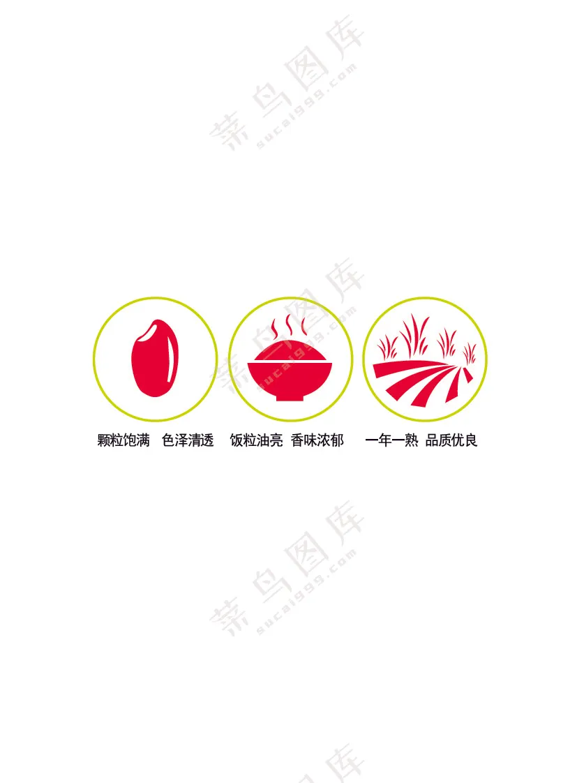 颗粒饱满 色泽清透 饭粒油亮