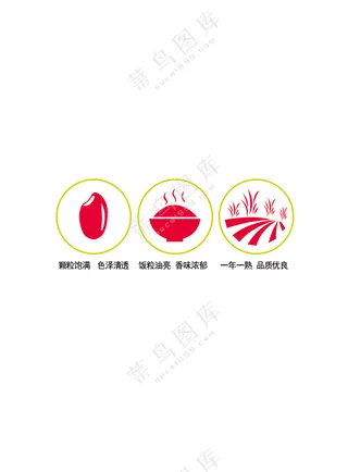 颗粒饱满 色泽清透 饭粒油亮