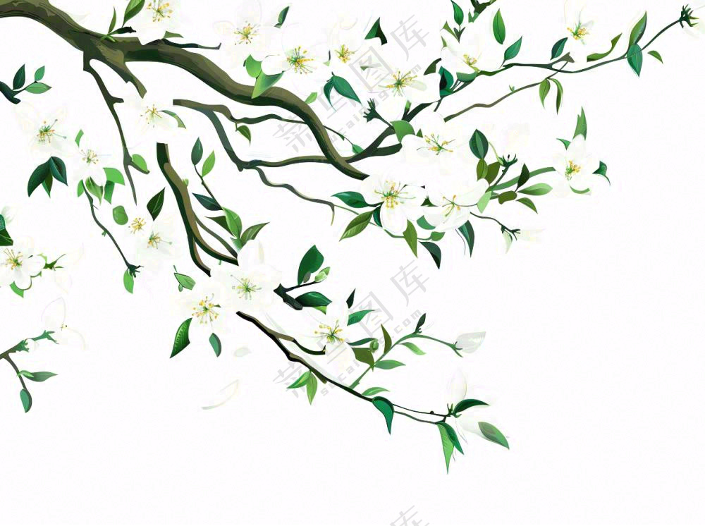 树上的白花春天植物绿叶插画免抠