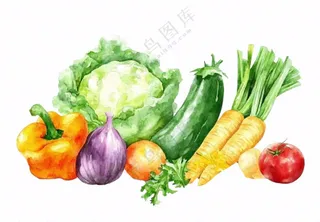 蔬菜生鲜插画免抠