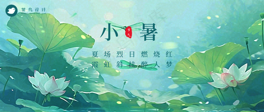 小暑公众号首图