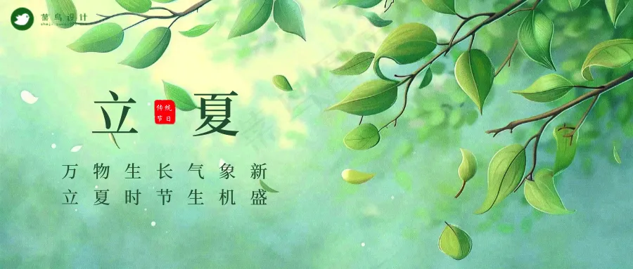 立夏公众号首图