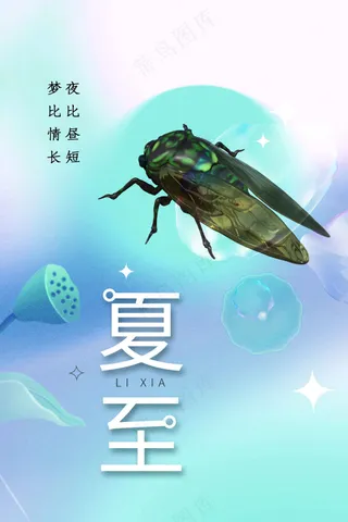 简约夏至节气传统活动海报