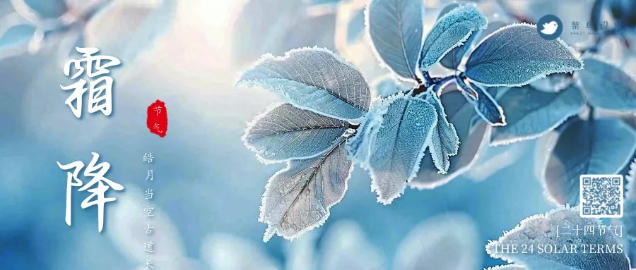 霜降公众号首图