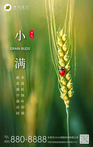 小满手机号海报