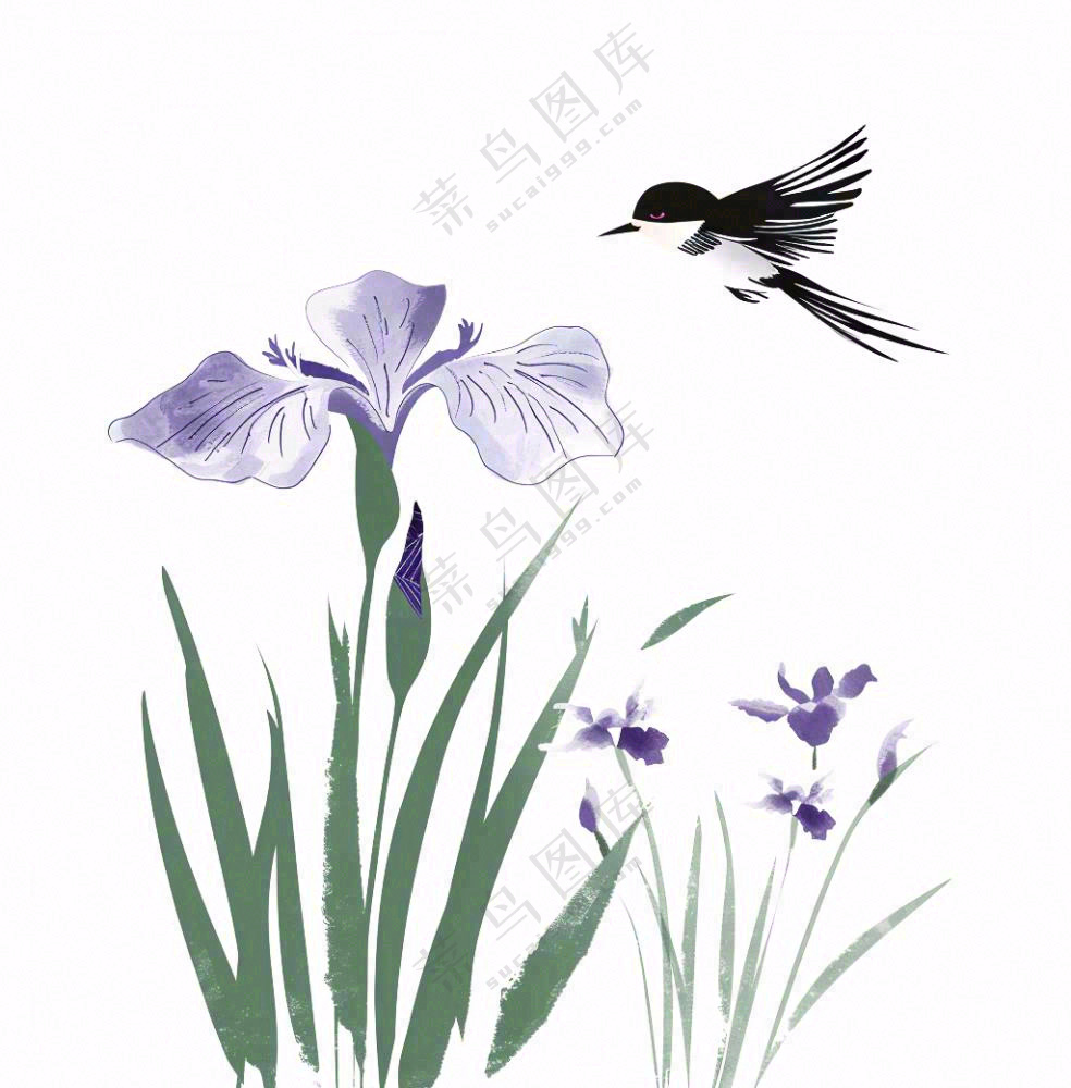 水墨画兰花鸟类紫色兰花插画免抠