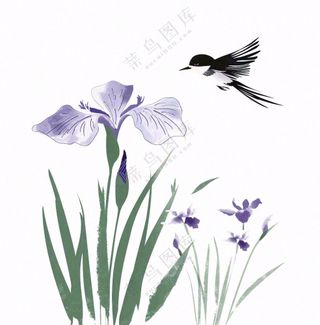 水墨画兰花鸟类紫色兰花插画免抠