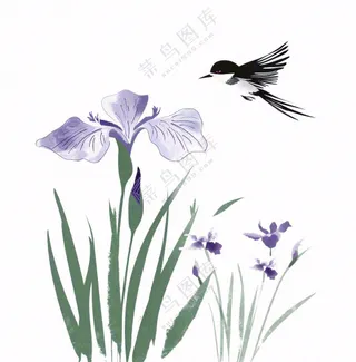 水墨画兰花鸟类紫色兰花插画免抠