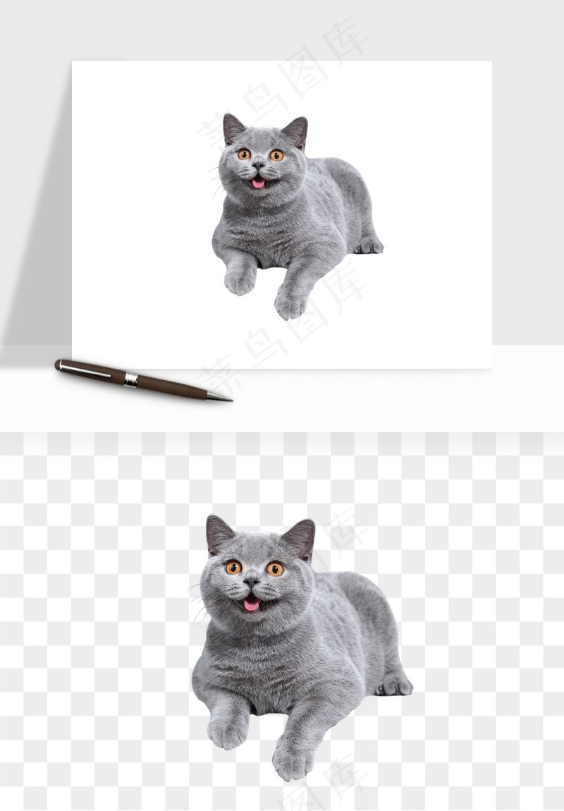 猫咪喵星人狗狗宠物元素png免抠