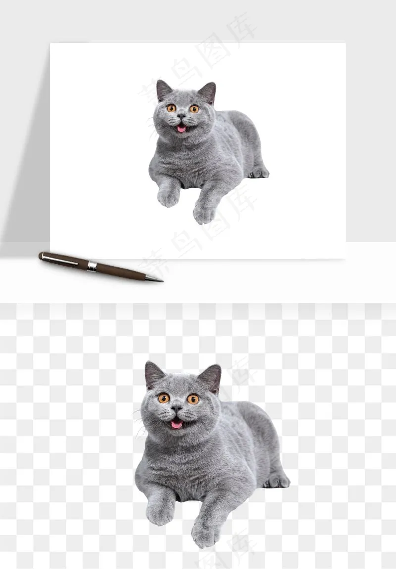 猫咪喵星人狗狗宠物元素png免抠