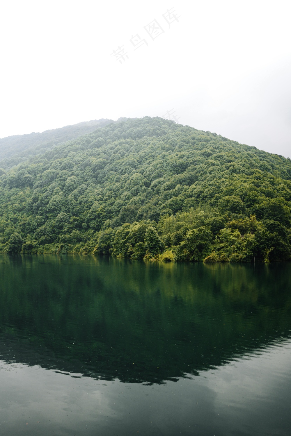 静谧山丘绿意浓