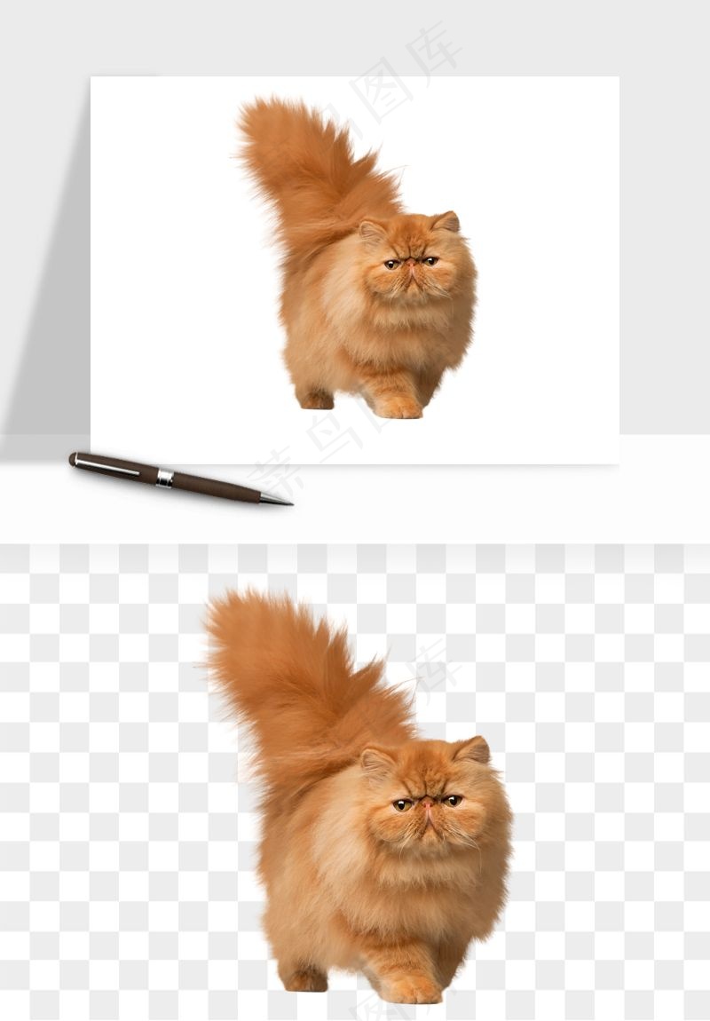 猫咪喵星人狗狗宠物元素png免抠